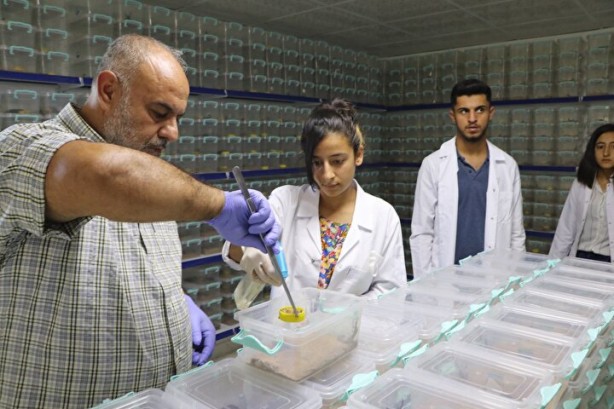 Foto - Dünyanın en tehlikeli ve en pahalı işi! Litresi tam tamına 10 milyon dolar