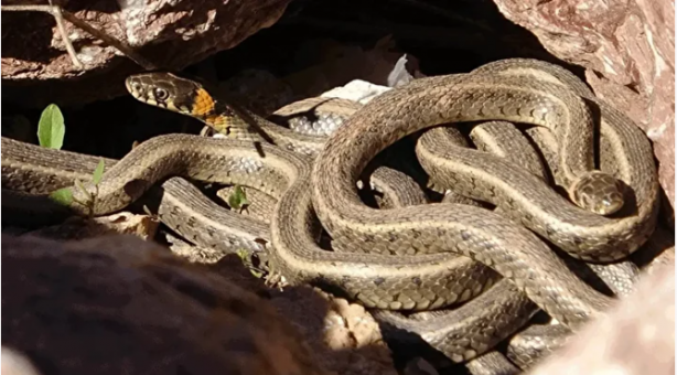 Foto - Dünyanın en tehlikeli yerleri! Dokunduğunuz anda öldürüyor