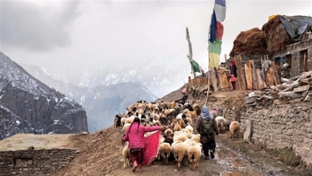 Foto - Dünyanın en tehlikeli yolculuğu