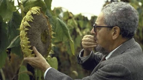 Foto - Dünyanın en tuhaf 50 ölümü