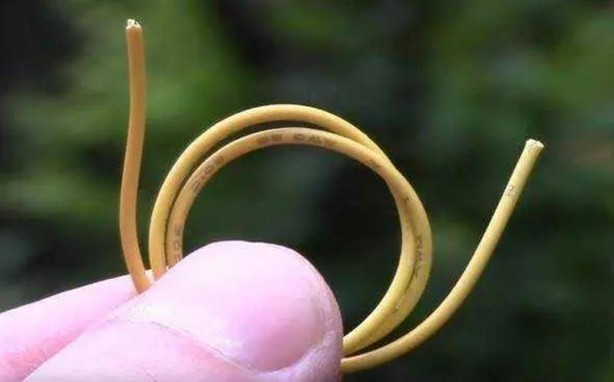 Foto - Dünyanın en 'tuhaf' güvenlik sistemi! Mandal ve pil yardımıyla bakın neler yaptı