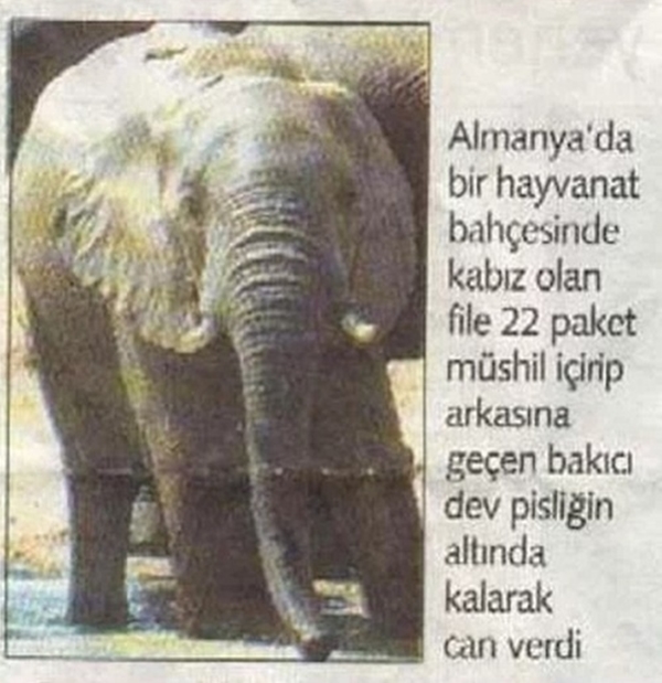 Foto - Dünyanın en tuhaf ölümleri