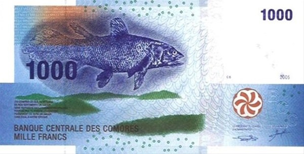 Foto - Dünyanın en tuhaf paraları!