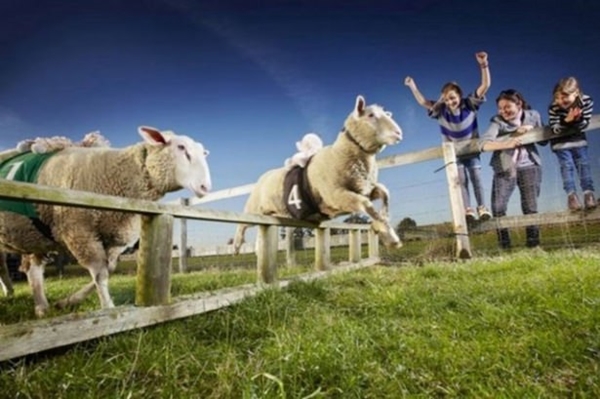 Foto - Dünyanın en uçuk rekorları