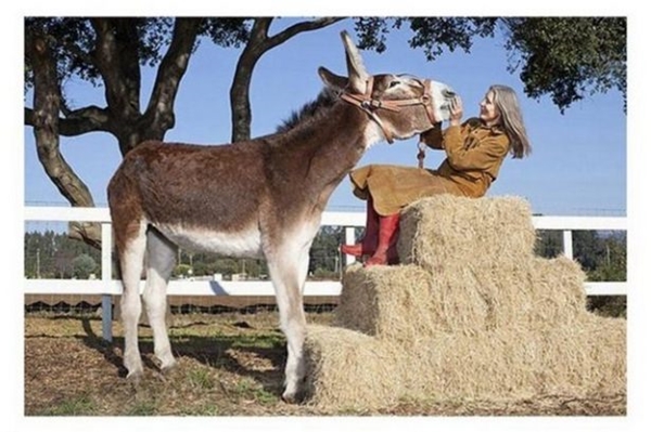 Foto - Dünyanın en uçuk rekorları