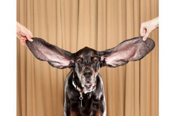 Foto - Dünyanın en uçuk rekorları