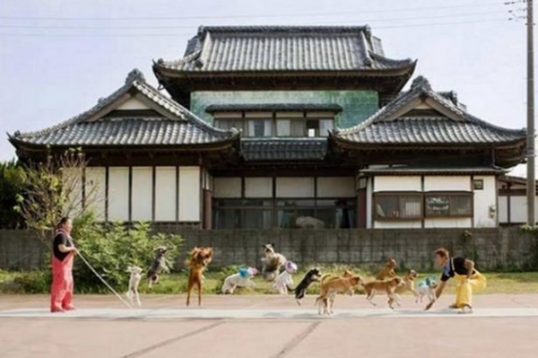 Foto - Dünyanın en uçuk rekorları