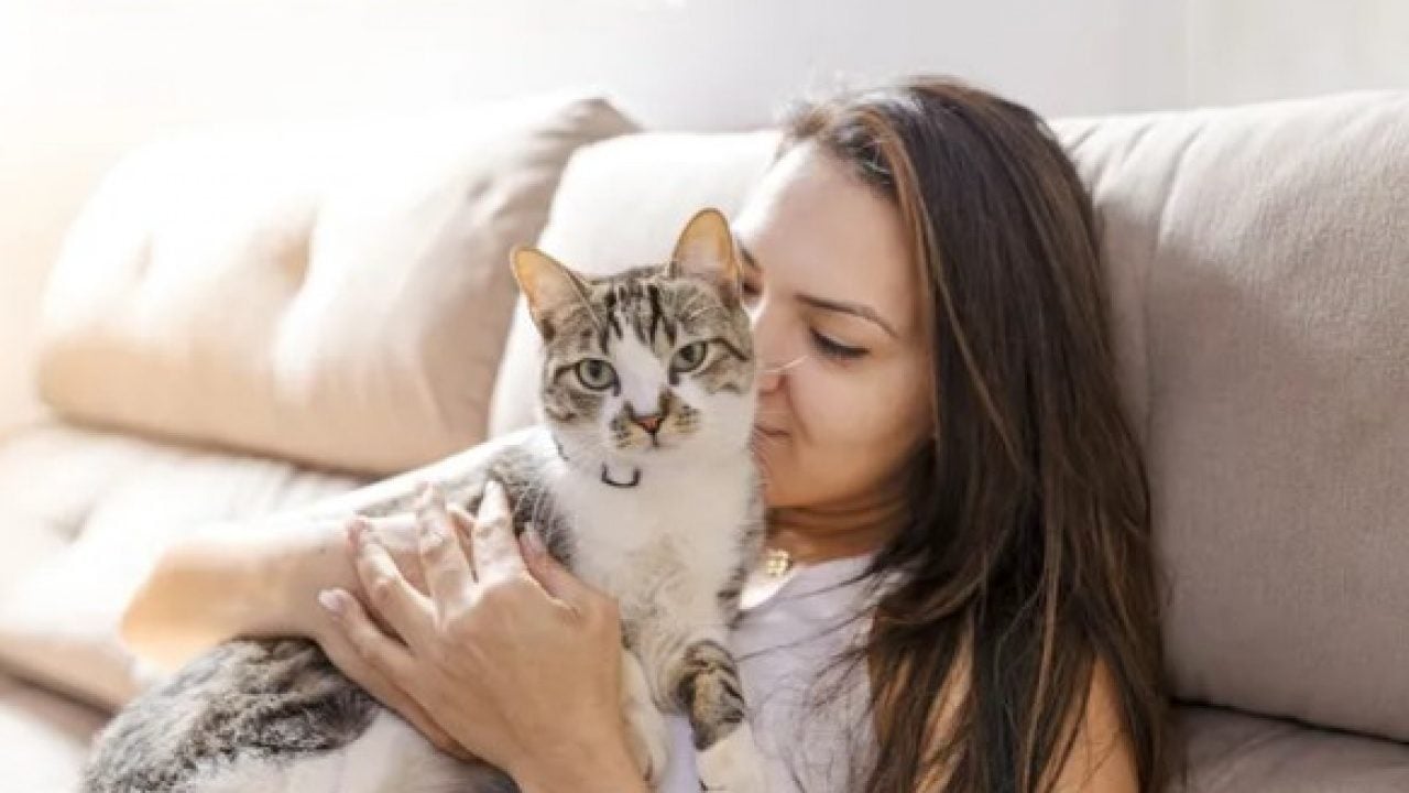 Foto - Dünyanın en uzun yaşayan 5 kedisi belli oldu! Ömürleri herkesi şaşırttı