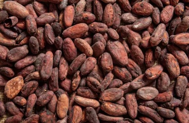 Foto - Dünyanın en yaşlı insanı sırrını açıkladı! işte Uzun yaşamın sırrı