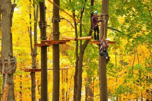 Foto - Dünya'nın en yeşil 10 şehri