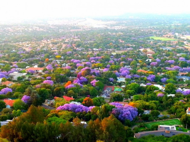 Foto - Dünya'nın en yeşil 10 şehri