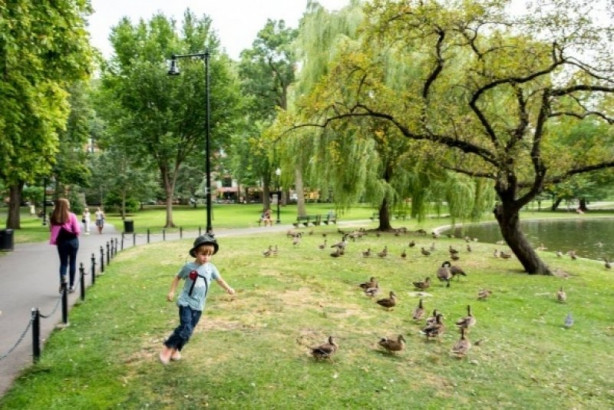 Dünya'nın en yeşil 10 şehri