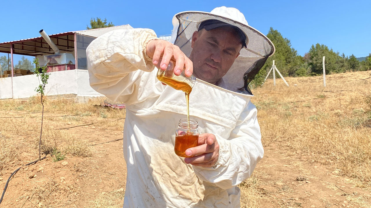 Dünyanın en yüksek prolin değerli balı! Eskişehirli arıcı Guinness’e hazırlanıyor