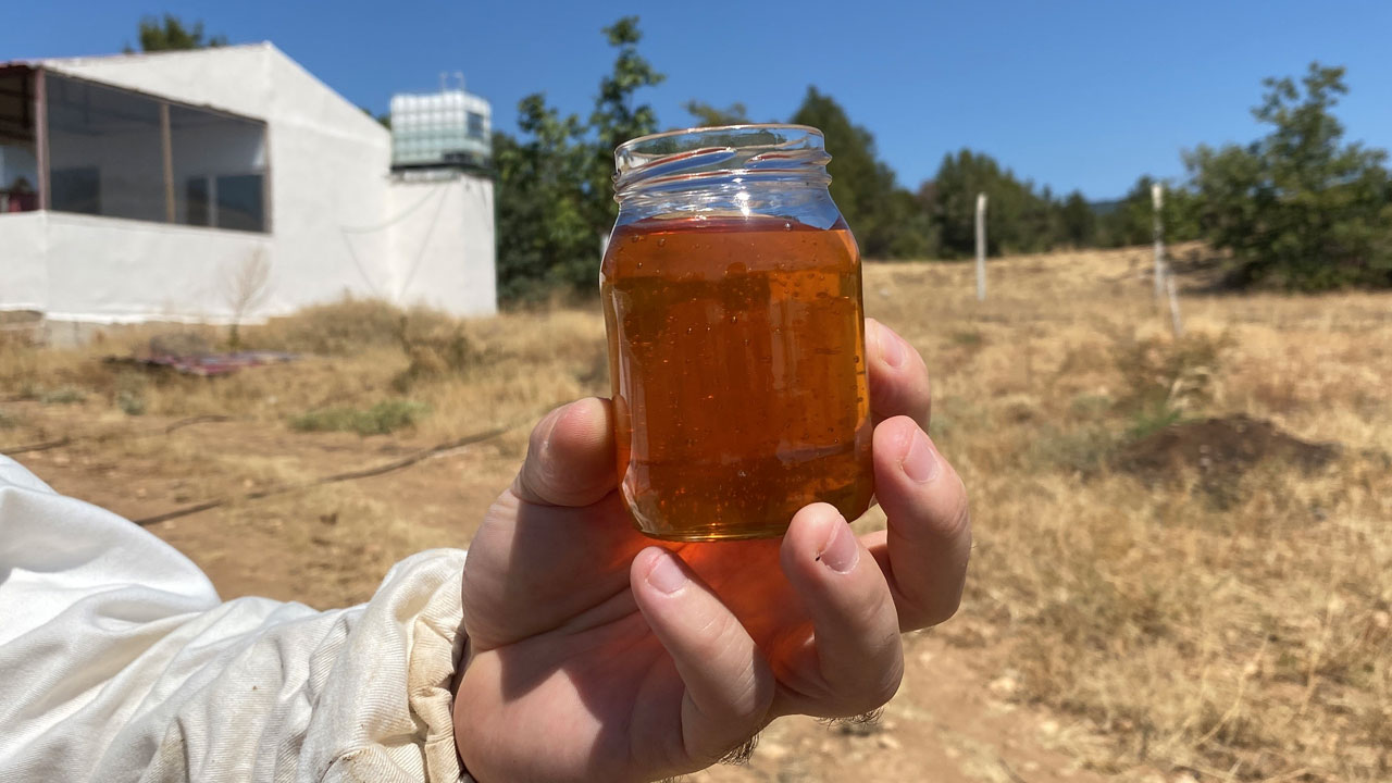 Foto - Dünyanın en yüksek prolin değerli balı! Eskişehirli arıcı Guinness’e hazırlanıyor