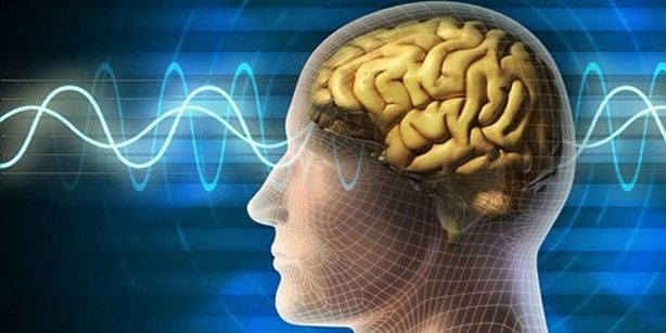 Foto - Dünyanın en zeki ülkeleri açıklandı! Bakın Türkiye kaçıncı sırada