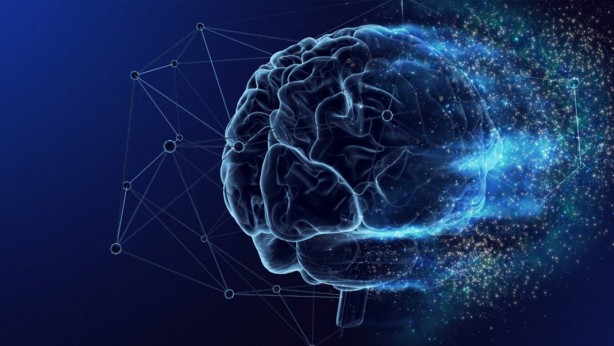 Foto - Dünyanın en zeki ülkeleri açıklandı! Bakın Türkiye kaçıncı sırada