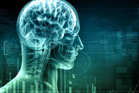 Foto - Dünyanın en zeki ülkeleri açıklandı! Türkiye'nin sırası belli oldu