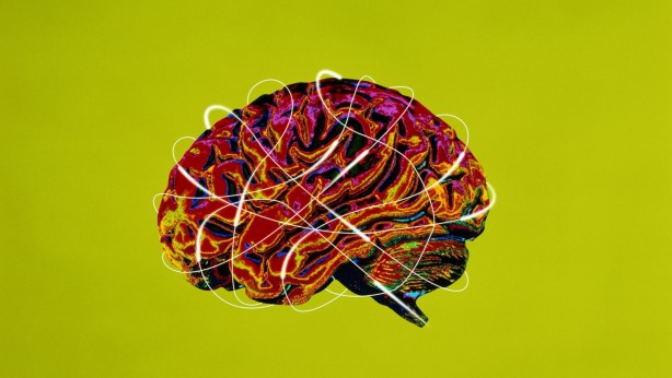 Foto - Dünyanın en zeki ülkeleri açıklandı! Türkiye'nin sırası belli oldu