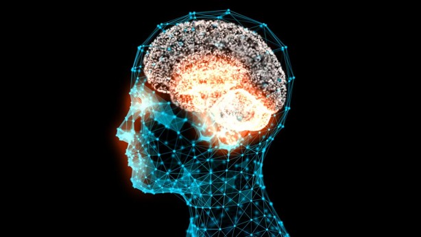 Foto - Dünyanın en zeki ülkeleri açıklandı! Türkiye'nin sırası belli oldu