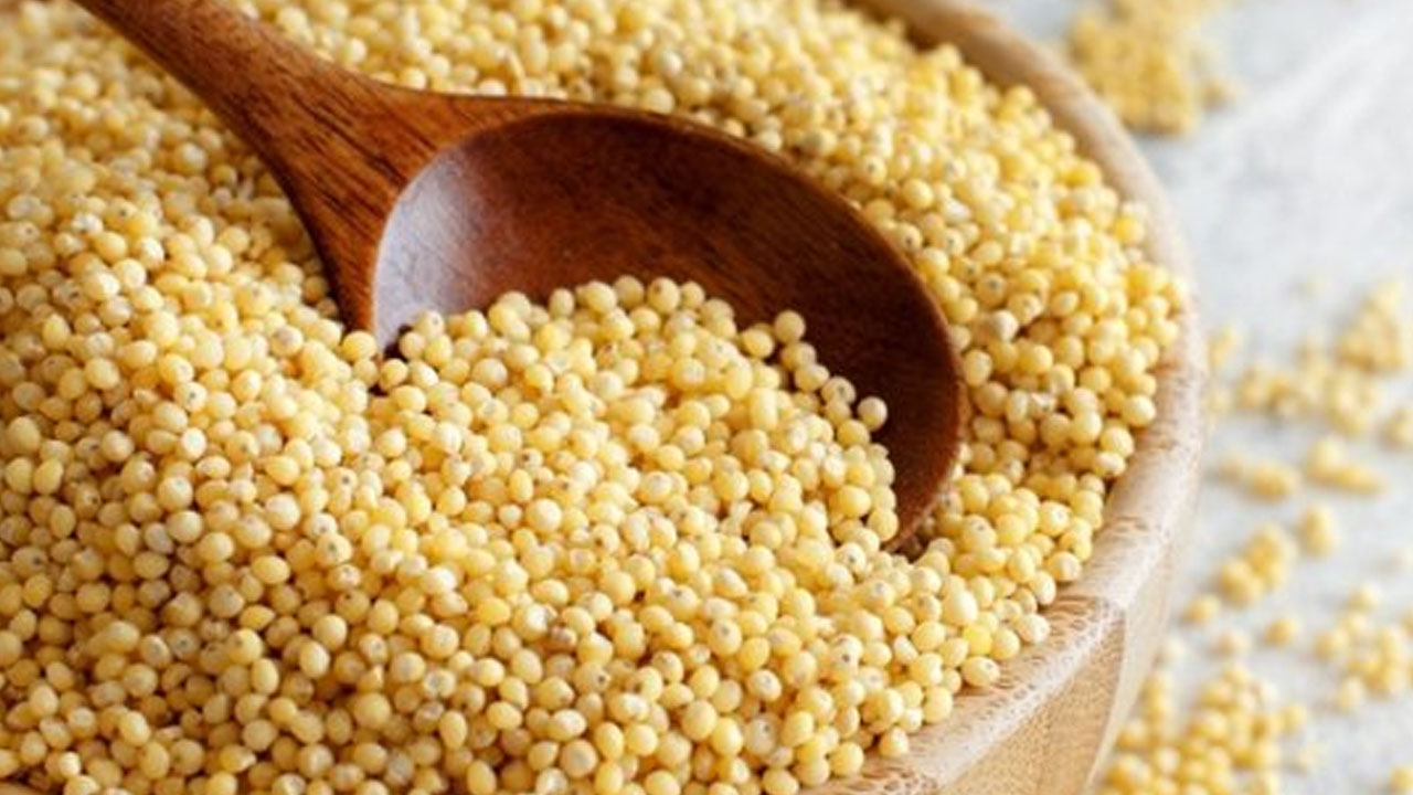 Dünyanın en zengin magnezyum kaynağı oymuş! 