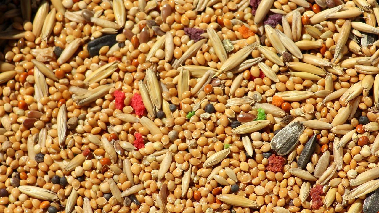 Foto - Dünyanın en zengin magnezyum kaynağı oymuş! 