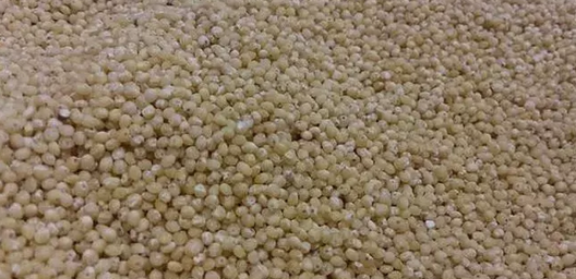 Foto - Dünyanın en zengin magnezyum kaynağı oymuş! Fosfor, manganez, demir ne varsa onda! Darı, diyabet için 1 numaralı besini