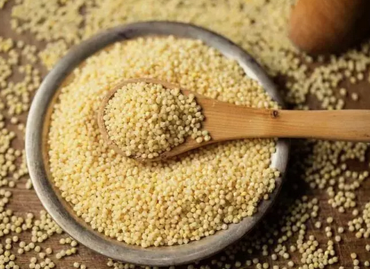 Foto - Dünyanın en zengin magnezyum kaynağı oymuş! Fosfor, manganez, demir ne varsa onda! Darı, diyabet için 1 numaralı besini