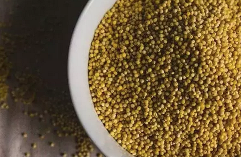 Foto - Dünyanın en zengin magnezyum kaynağı oymuş! Fosfor, manganez, demir ne varsa onda! Darı, diyabet için 1 numaralı besini