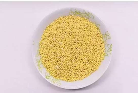 Foto - Dünyanın en zengin magnezyum kaynağı oymuş! Fosfor, manganez, demir ne varsa onda! Darı, diyabet için 1 numaralı besini