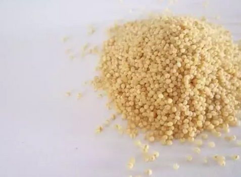 Foto - Dünyanın en zengin magnezyum kaynağı oymuş! Fosfor, manganez, demir ne varsa onda! Darı, diyabet için 1 numaralı besini