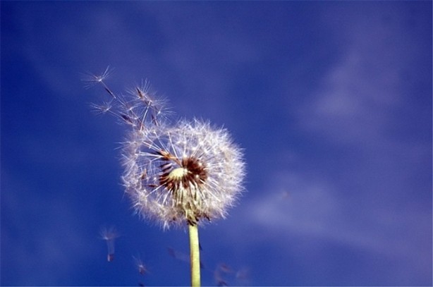 Foto - Dünyanın en zor meslekleri