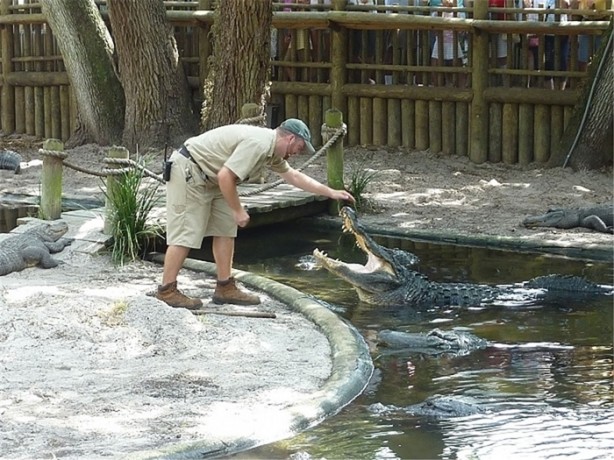 Foto - Dünyanın en zor meslekleri