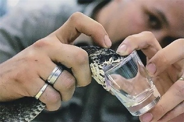 Foto - Dünyanın en zor meslekleri