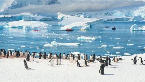 Foto - Dünyanın ‘en’lerini hiç merak ettiniz mi? İşte detaylar…