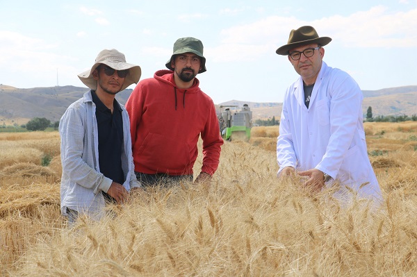 Foto - Dünya’nın gözü bu tarlada!