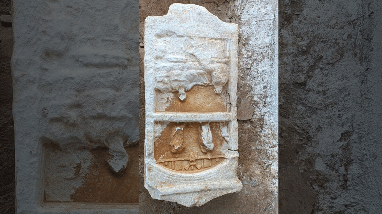 Foto - Dünyanın gözü İzmir'de! Ceviz bahçesinde keşfedildi