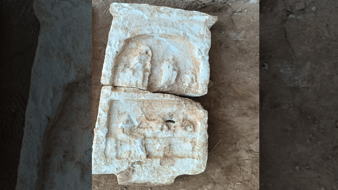 Foto - Dünyanın gözü İzmir'de! Ceviz bahçesinde keşfedildi