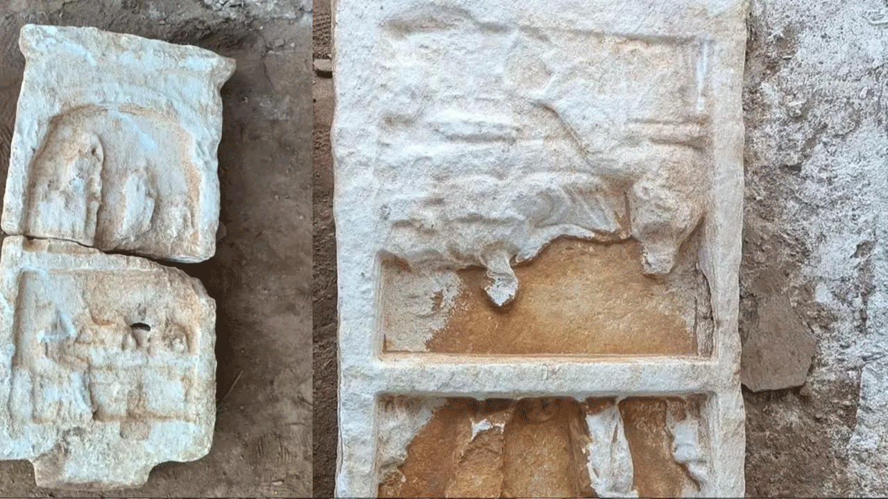 Foto - Dünyanın gözü İzmir'de! Ceviz bahçesinde keşfedildi