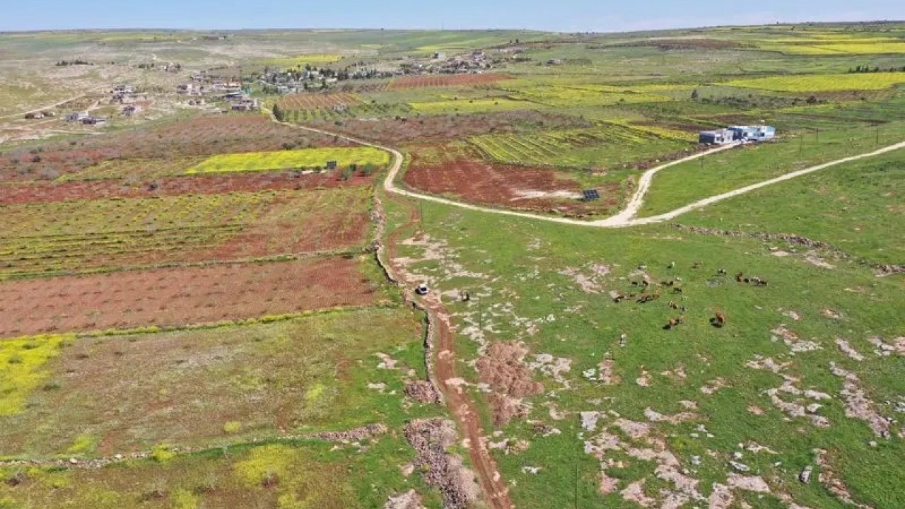 Dünyanın gözü Şanlıurfa'ya çevrildi: Çinliler ve Japonlar kazıya geliyor