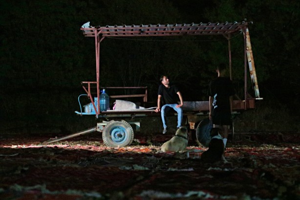 Foto - Dünyanın gözü Türkiye'deki bu tarlada! Güneş doğana kadar nöbet tutuluyor, resmen hazine var