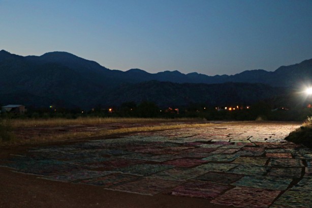 Foto - Dünyanın gözü Türkiye'deki bu tarlada! Güneş doğana kadar nöbet tutuluyor, resmen hazine var