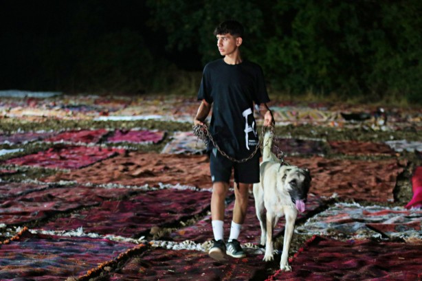 Foto - Dünyanın gözü Türkiye'deki bu tarlada! Güneş doğana kadar nöbet tutuluyor, resmen hazine var