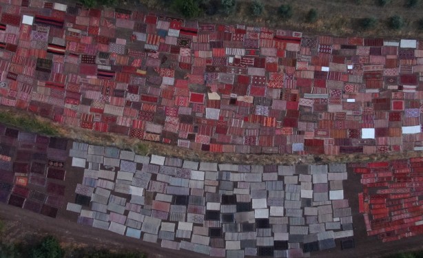 Foto - Dünyanın gözü Türkiye'deki bu tarlada! Güneş doğana kadar nöbet tutuluyor, resmen hazine var