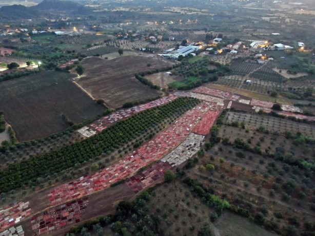 Foto - Dünyanın gözü Türkiye'deki bu tarlada! Güneş doğana kadar nöbet tutuluyor, resmen hazine var