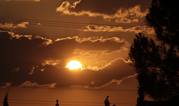 Dünyanın gözü Türkiye'deki bu tarlada! Güneş doğana kadar nöbet tutuluyor, resmen hazine var