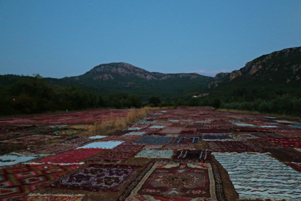 Foto - Dünyanın gözü Türkiye'deki bu tarlada! Güneş doğana kadar nöbet tutuluyor, resmen hazine var
