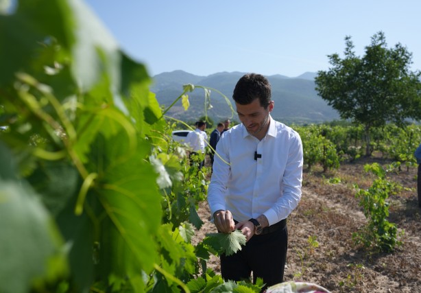"Dünyanın her yerine gönderiyoruz" Bu yaprağın eşi benzeri yok