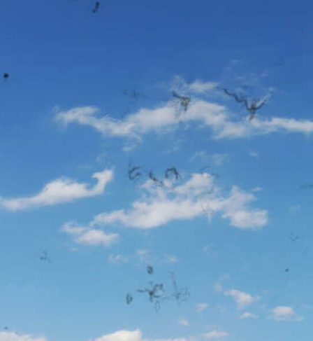 Foto - Dünyanın konuştuğu görüntü! Gökyüzünde 'siyah kütle'