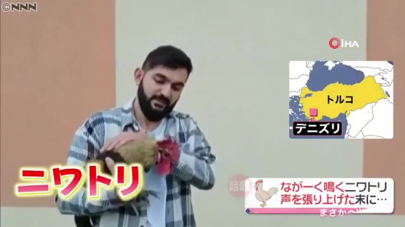 Foto - Dünyanın konuştuğu horozdan kötü haber!