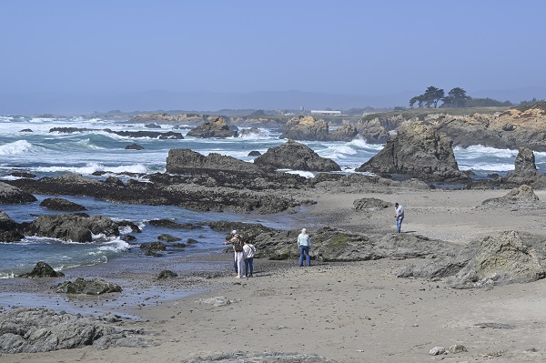 Foto - Dünyanın konuştuğu plaj